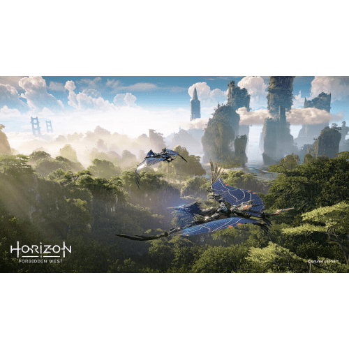 Horizon Forbidden West PS4/PS5 Pl Horizon Forbidden West PS4/PS5 Pl